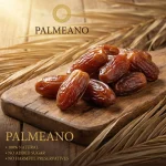 خرمای زاهدی 500 گرمی قوطی - تصویر 3